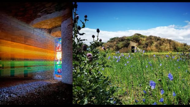 Two images of the Stained glass door in the second chamber at Soulton Long Barrow and the blue lind seed flowers on the outside.